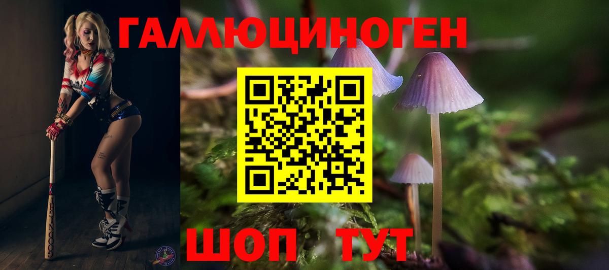 Галлюциногенные грибы GOLDEN TEACHER  Псилоцибиновые грибы мицелий  Вход с VPN  где купить наркоту  Углич 